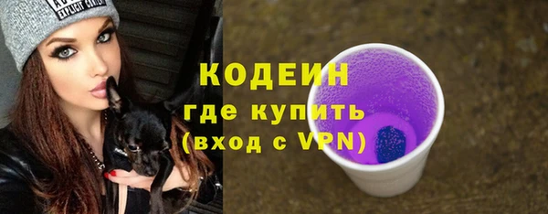 дживик Богородицк