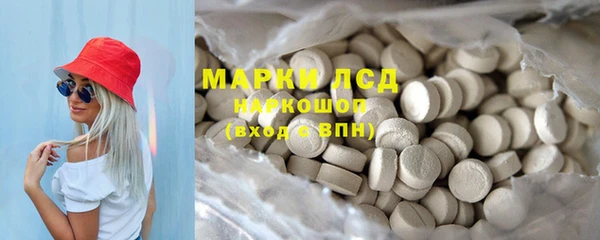 дживик Богородицк