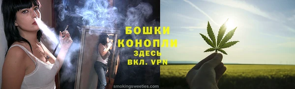 дживик Богородицк