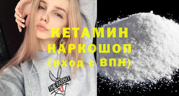 дживик Богородицк