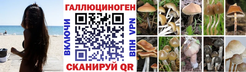 Галлюциногенные грибы MAGIC MUSHROOMS  Берёзовка 